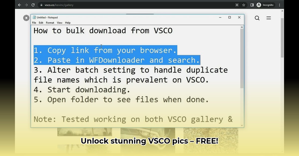 vsco-pic-downloader
